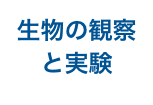 生物の観察と実験