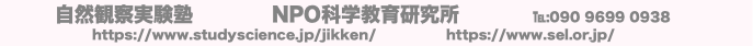 自然観察実験塾 NPO科学教育研究所 ℡:090 9699 0938
https